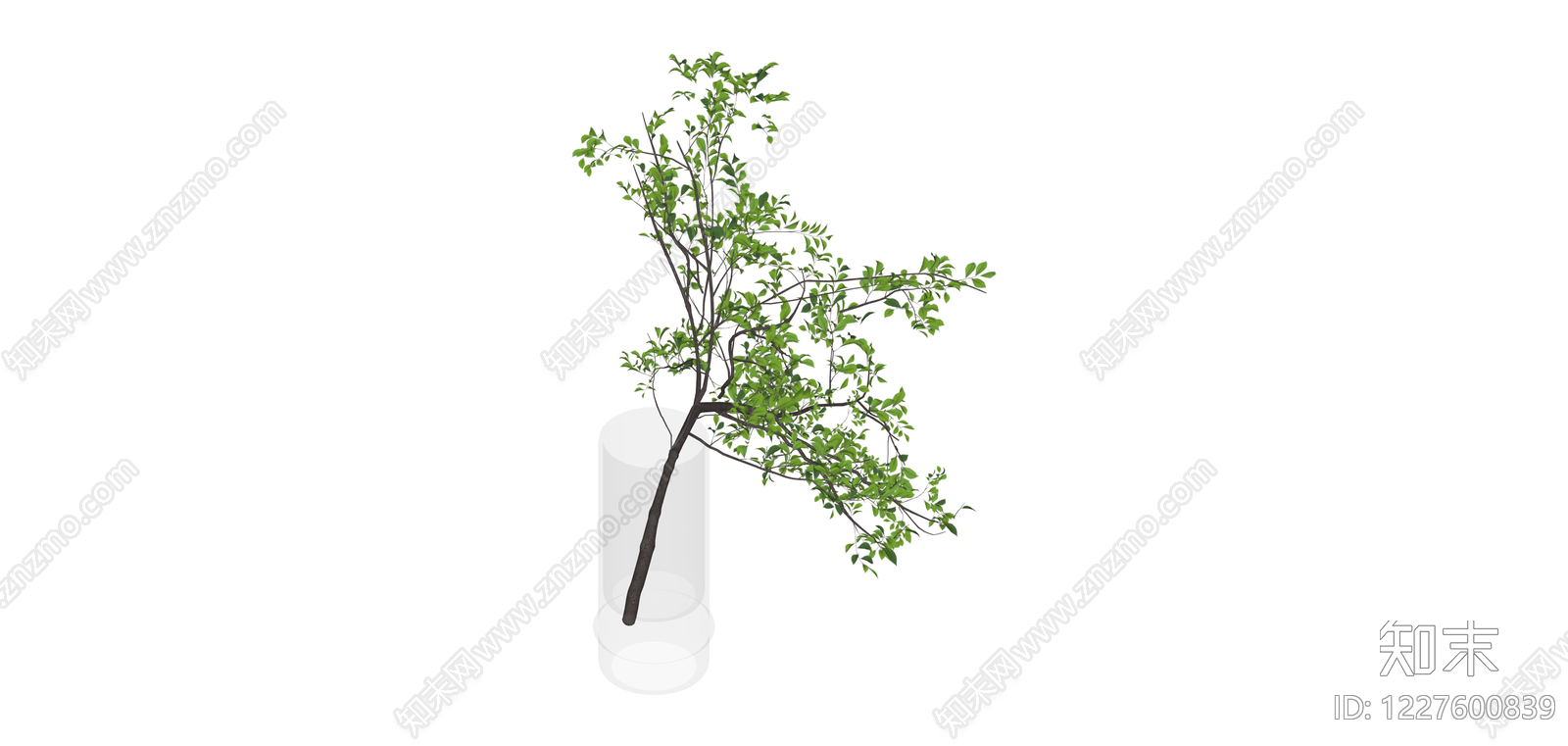 带透明花瓶绿植SU模型下载【ID:1227600839】