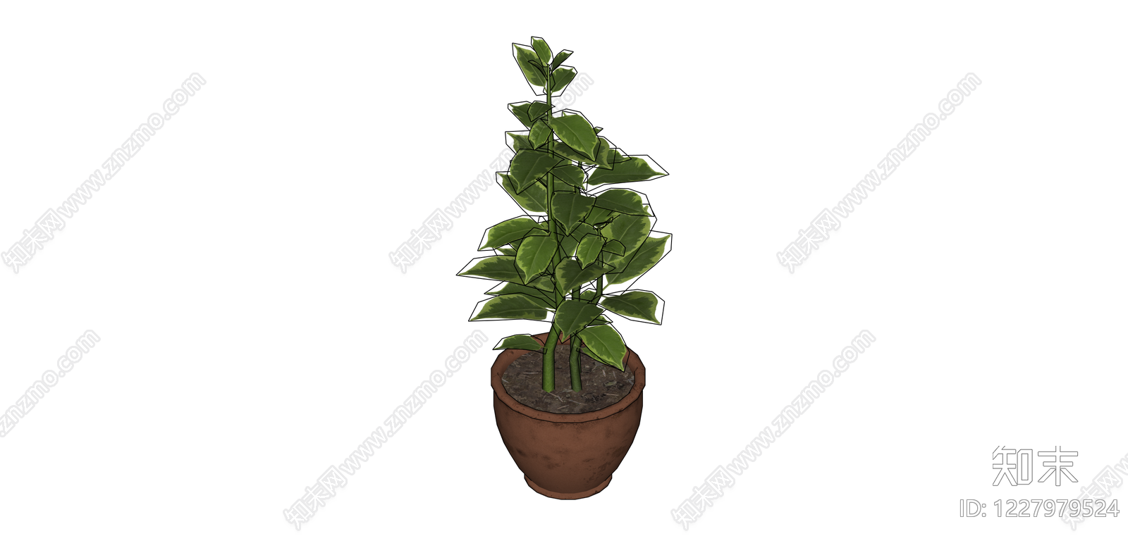 盆栽绿植组合SU模型下载【ID:1227979524】