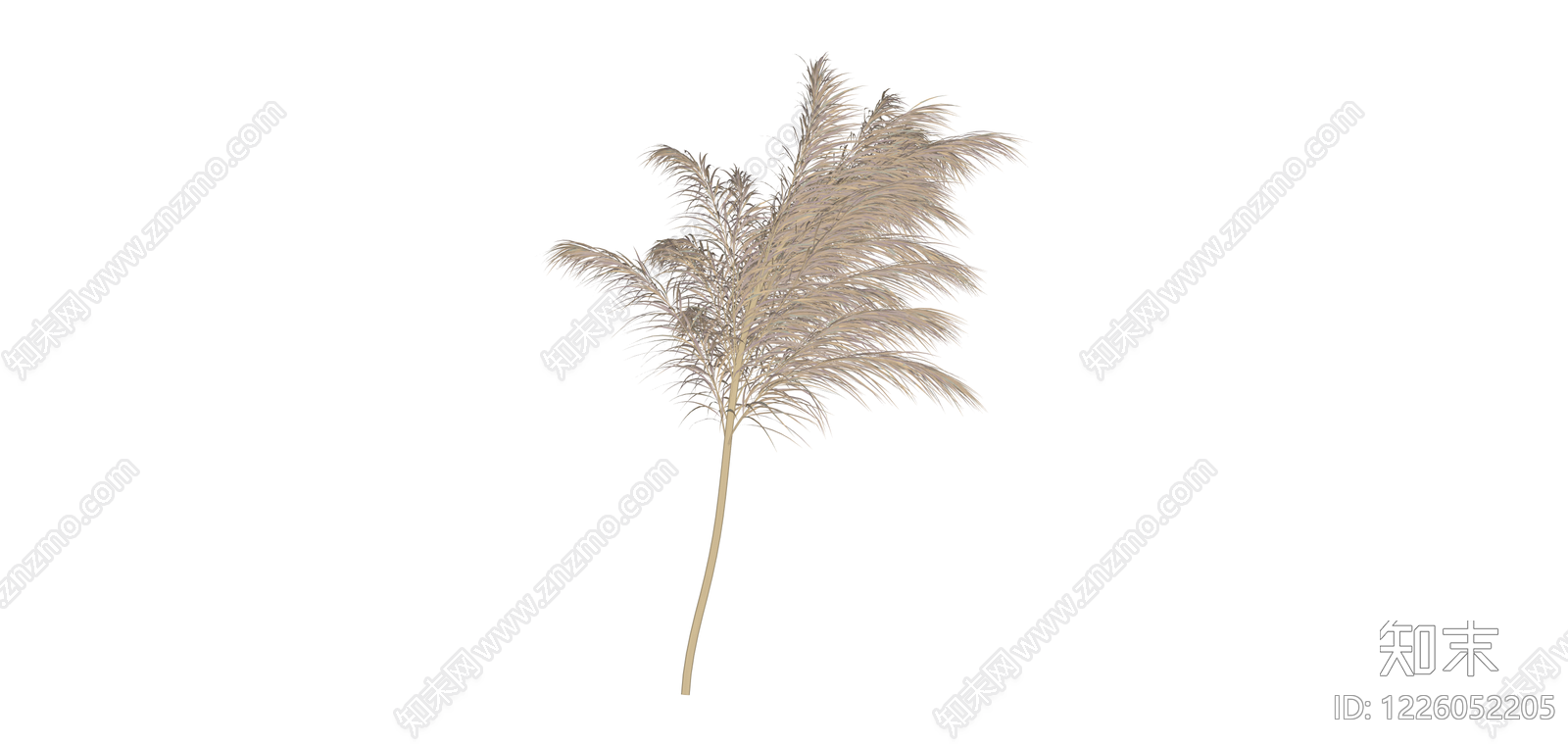 芦苇植物组件SU模型下载【ID:1226052205】