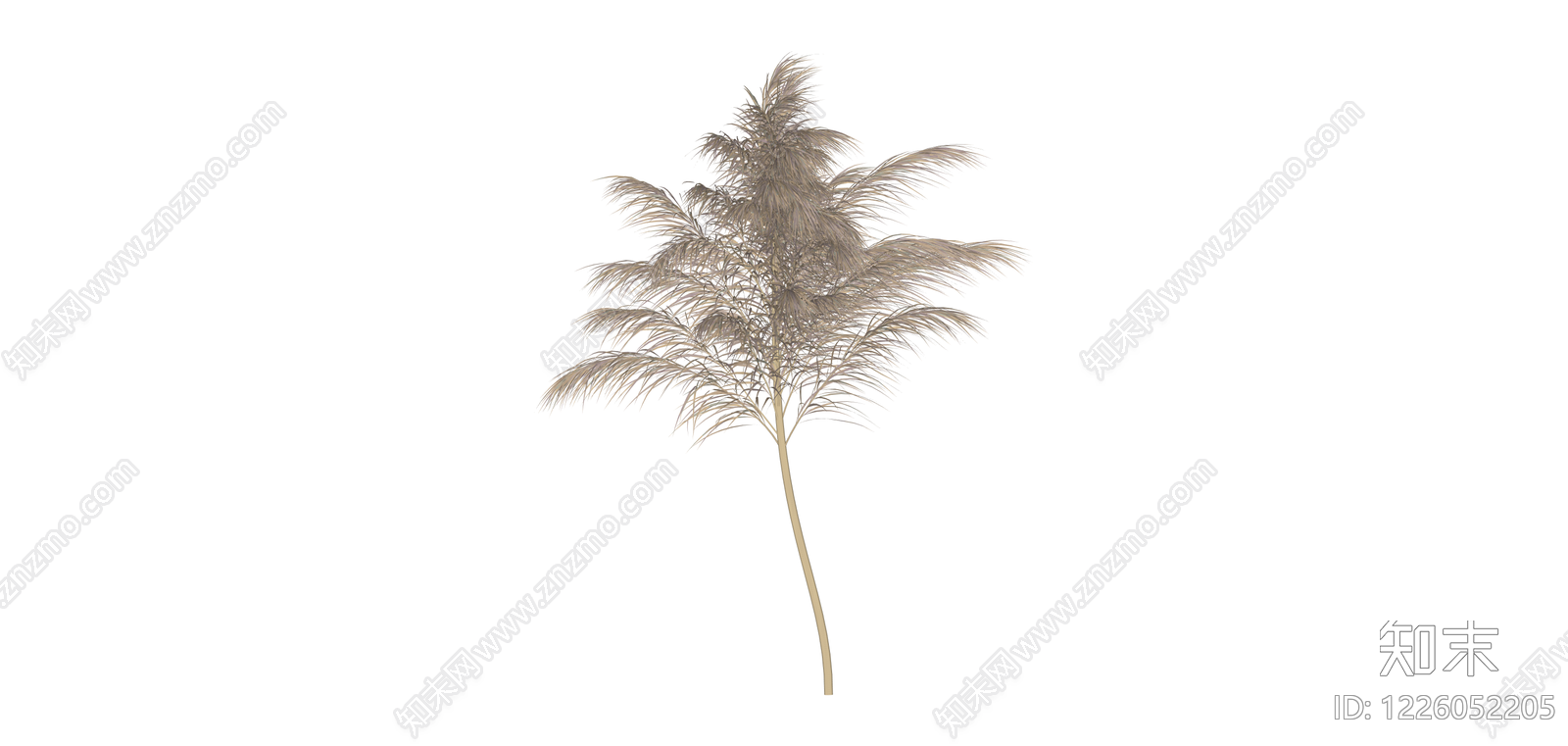 芦苇植物组件SU模型下载【ID:1226052205】
