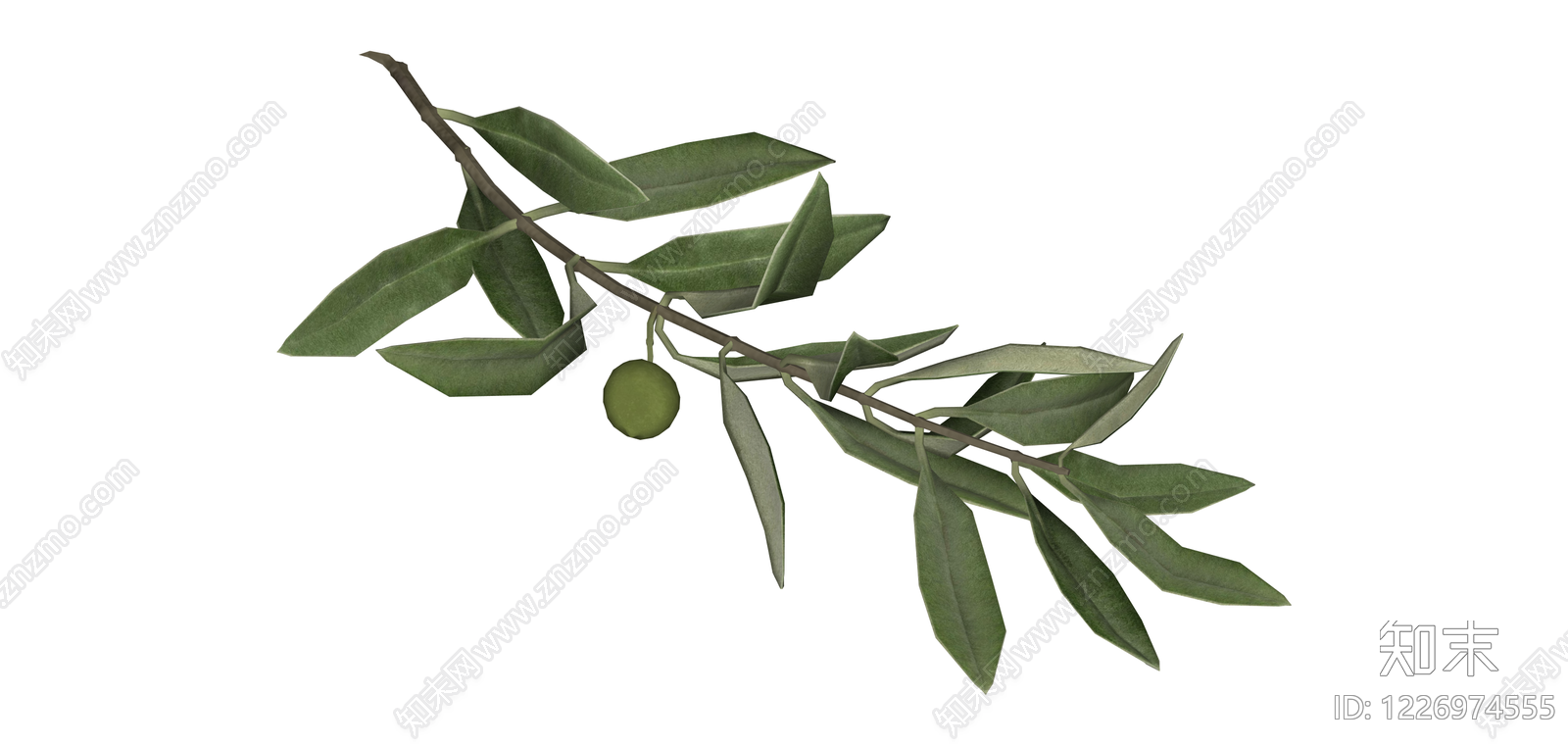 橄榄枝植物组件SU模型下载【ID:1226974555】