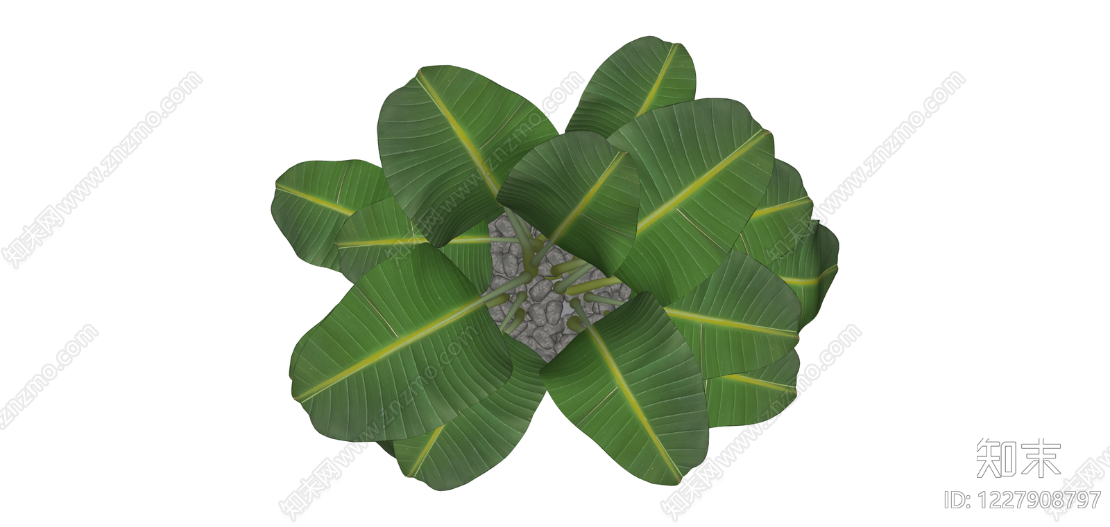 带盆绿植盆栽SU模型下载【ID:1227908797】