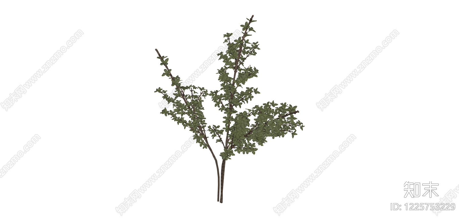 仿真灌木绿植枝条SU模型下载【ID:1225753229】