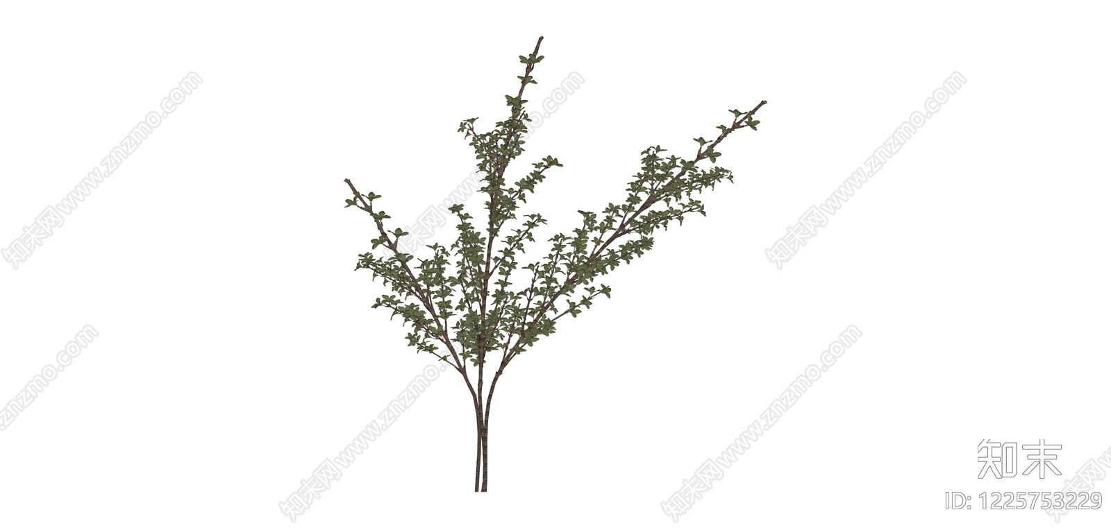 仿真灌木绿植枝条SU模型下载【ID:1225753229】