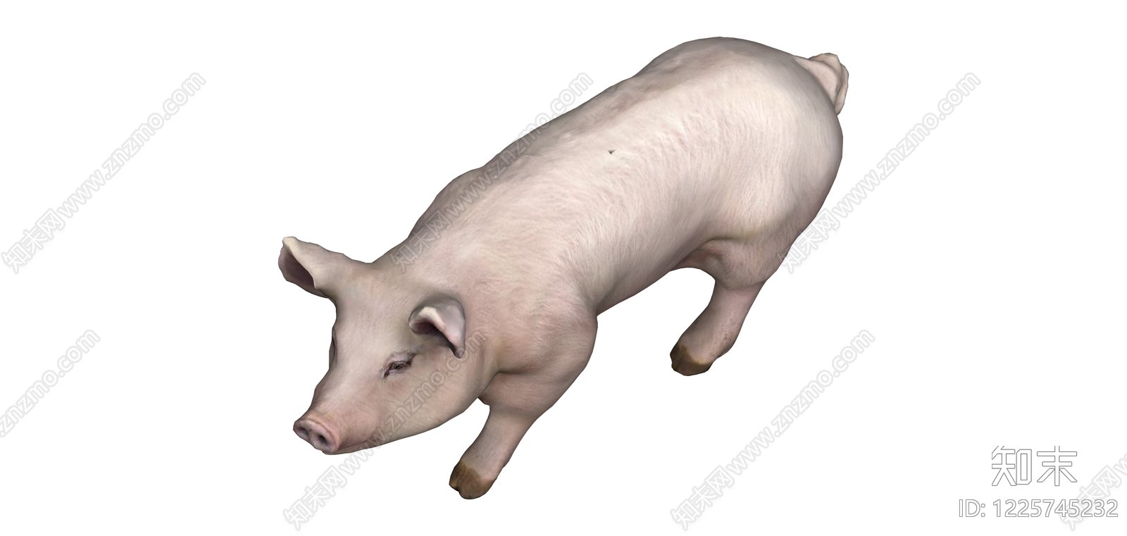 粉色家猪3D模型SU模型下载【ID:1225745232】