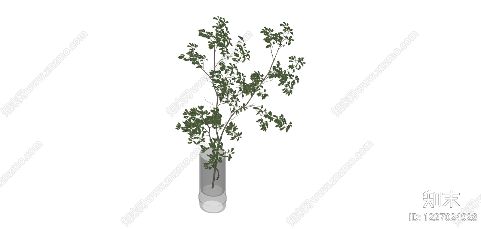 带花瓶绿植盆栽SU模型下载【ID:1227024928】