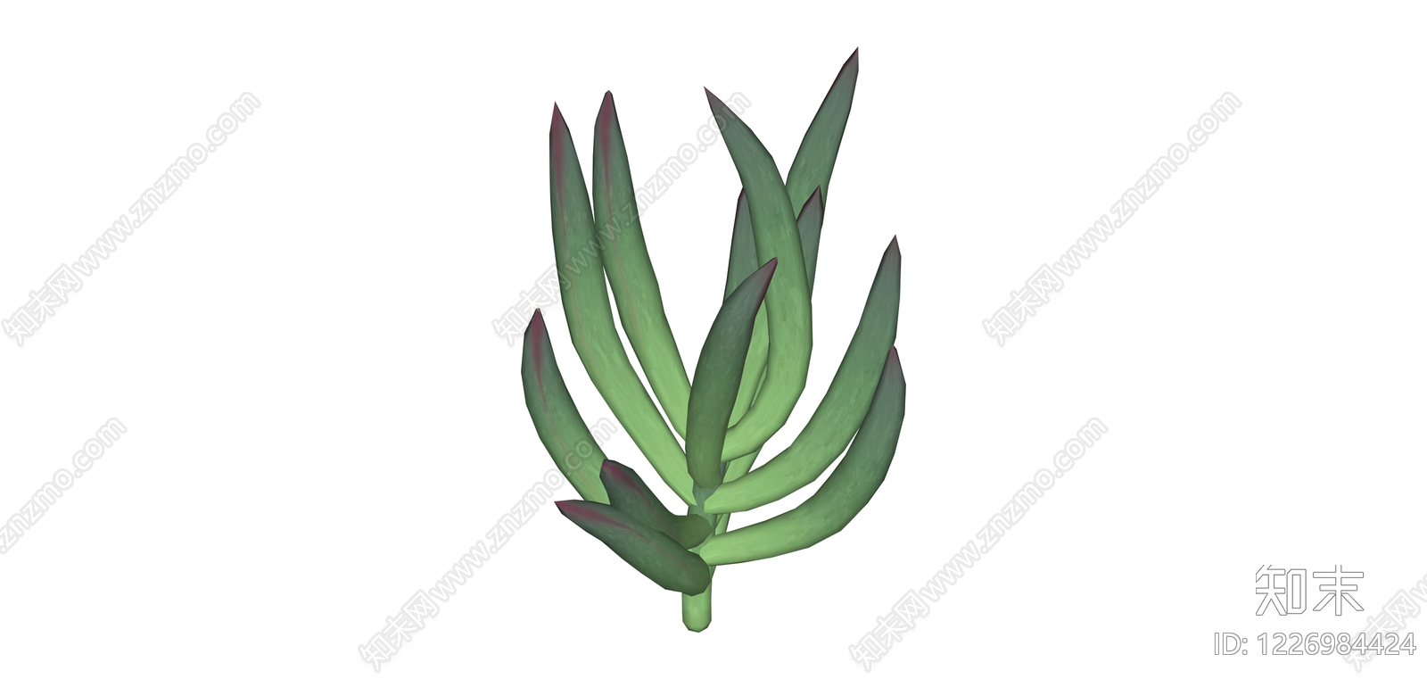 多肉植物组景SU模型下载【ID:1226984424】