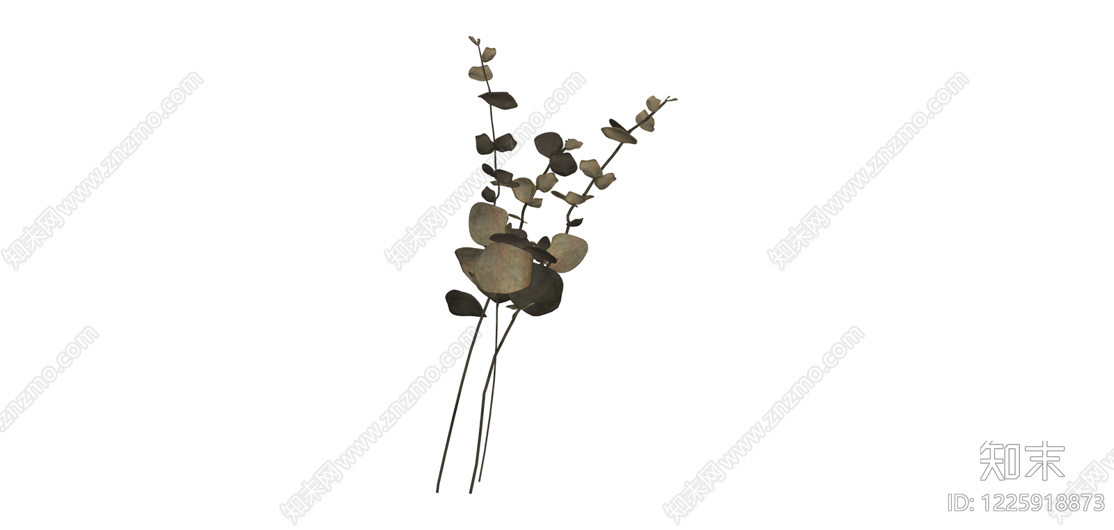 尤加利叶花艺枝条SU模型下载【ID:1225918873】