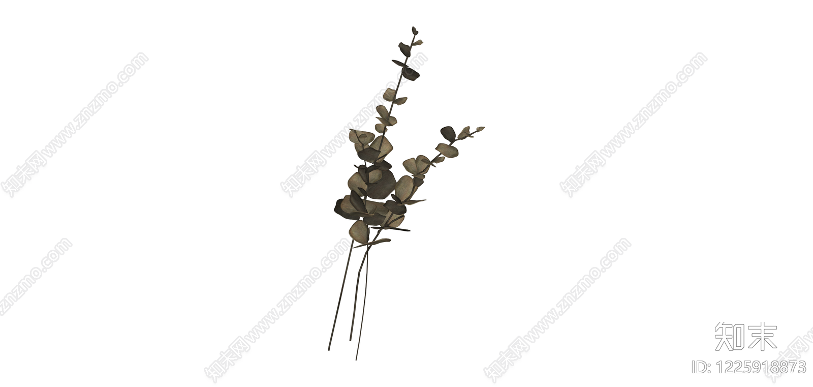 尤加利叶花艺枝条SU模型下载【ID:1225918873】