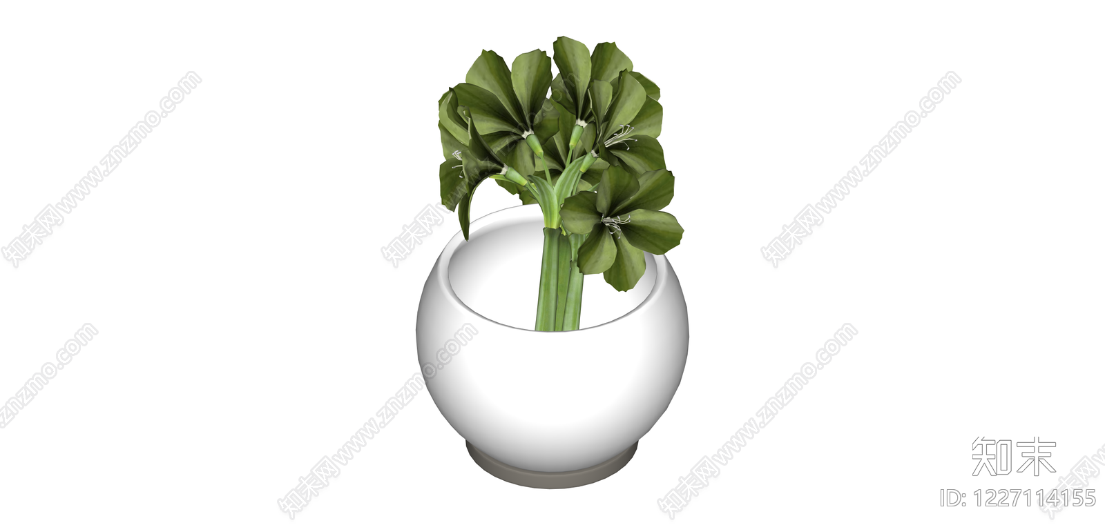 白盆绿植盆栽SU模型下载【ID:1227114155】