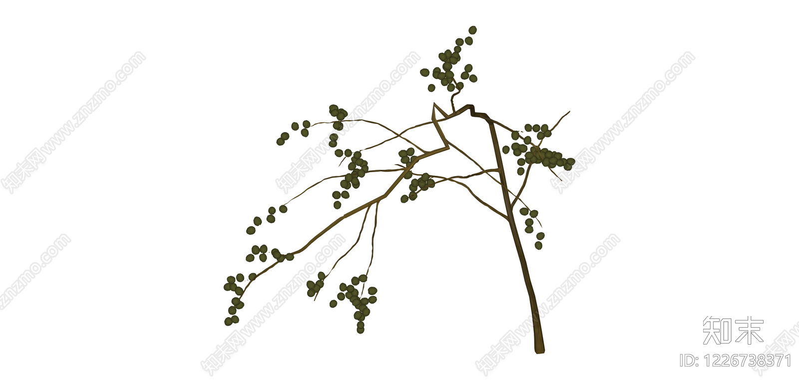 仿真植物枝条组件SU模型下载【ID:1226738371】