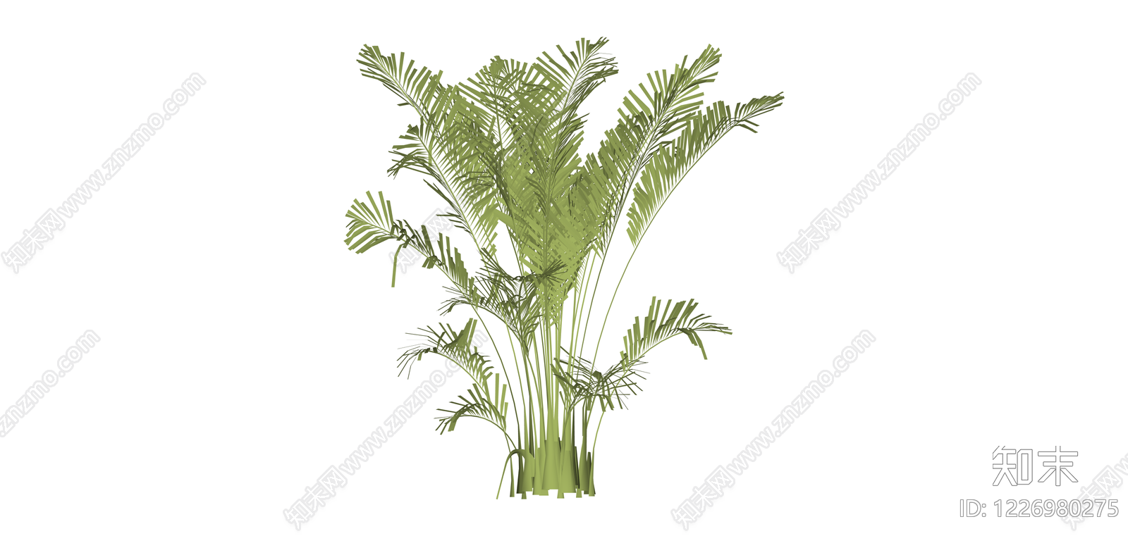 散尾葵绿植模型SU模型下载【ID:1226980275】