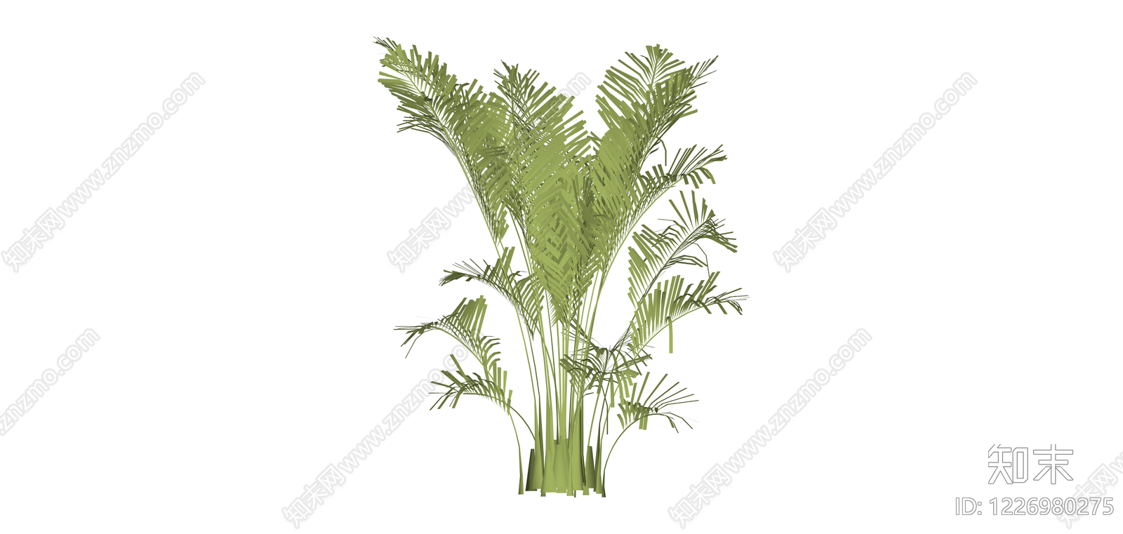 散尾葵绿植模型SU模型下载【ID:1226980275】