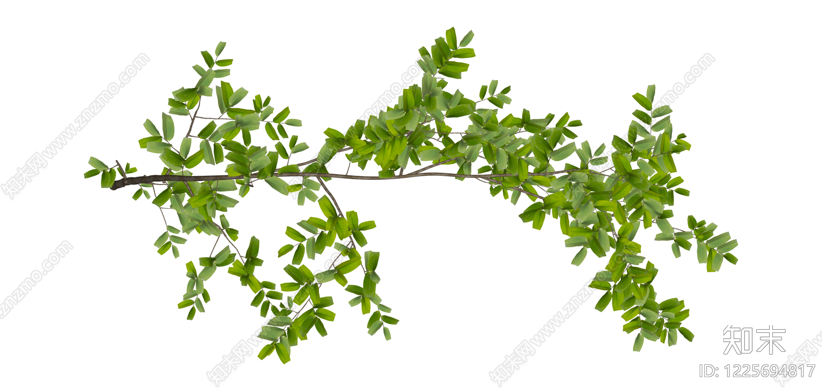 带叶树枝/植物SU模型下载【ID:1225694817】