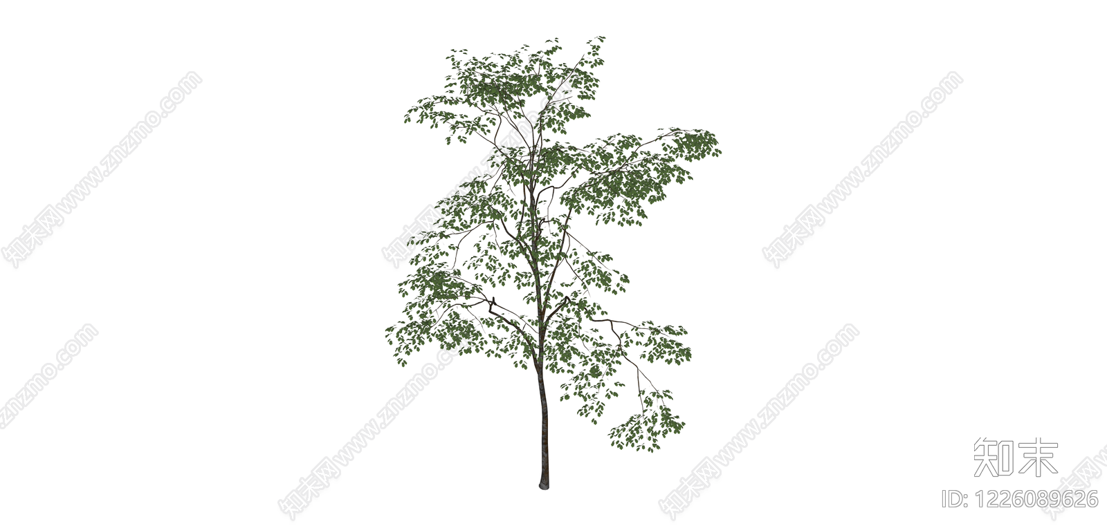独立景观乔木模型SU模型下载【ID:1226089626】