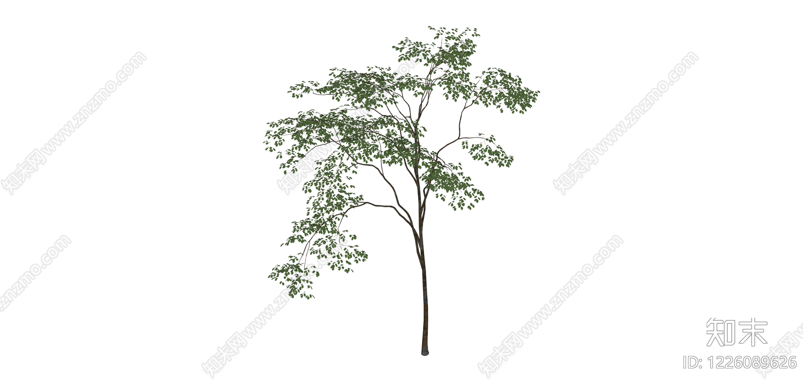 独立景观乔木模型SU模型下载【ID:1226089626】