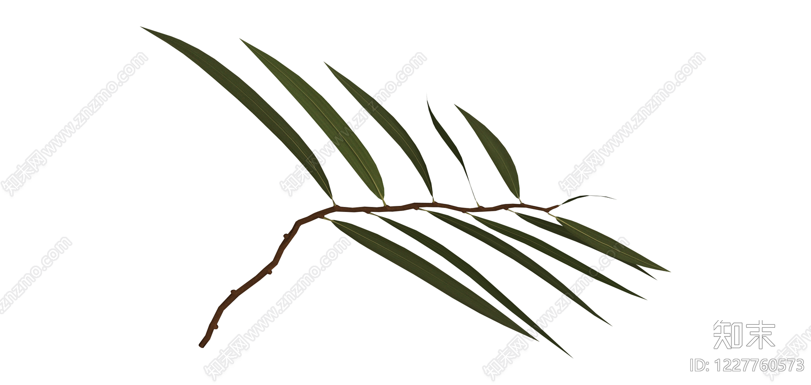 带叶树枝模型SU模型下载【ID:1227760573】