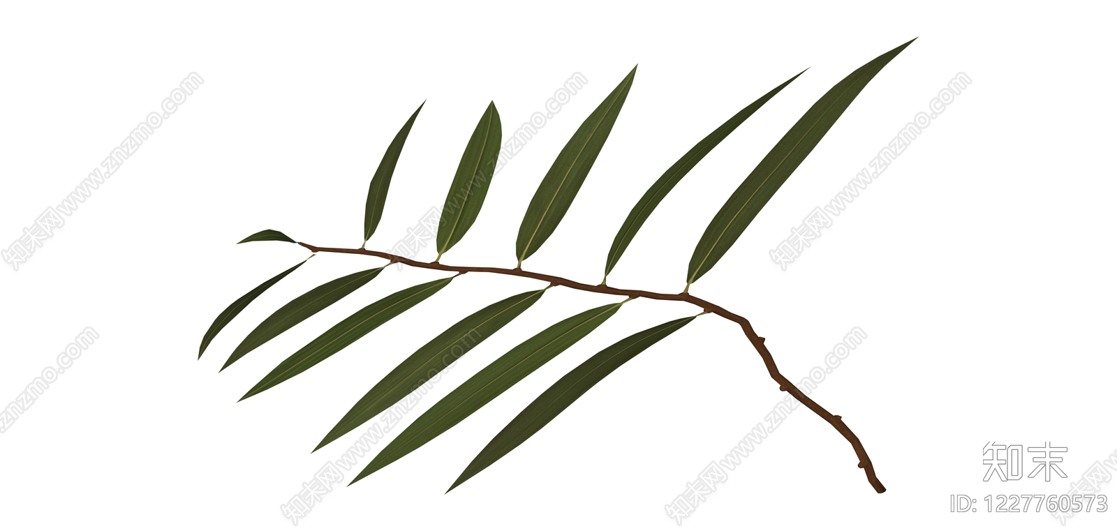 带叶树枝模型SU模型下载【ID:1227760573】