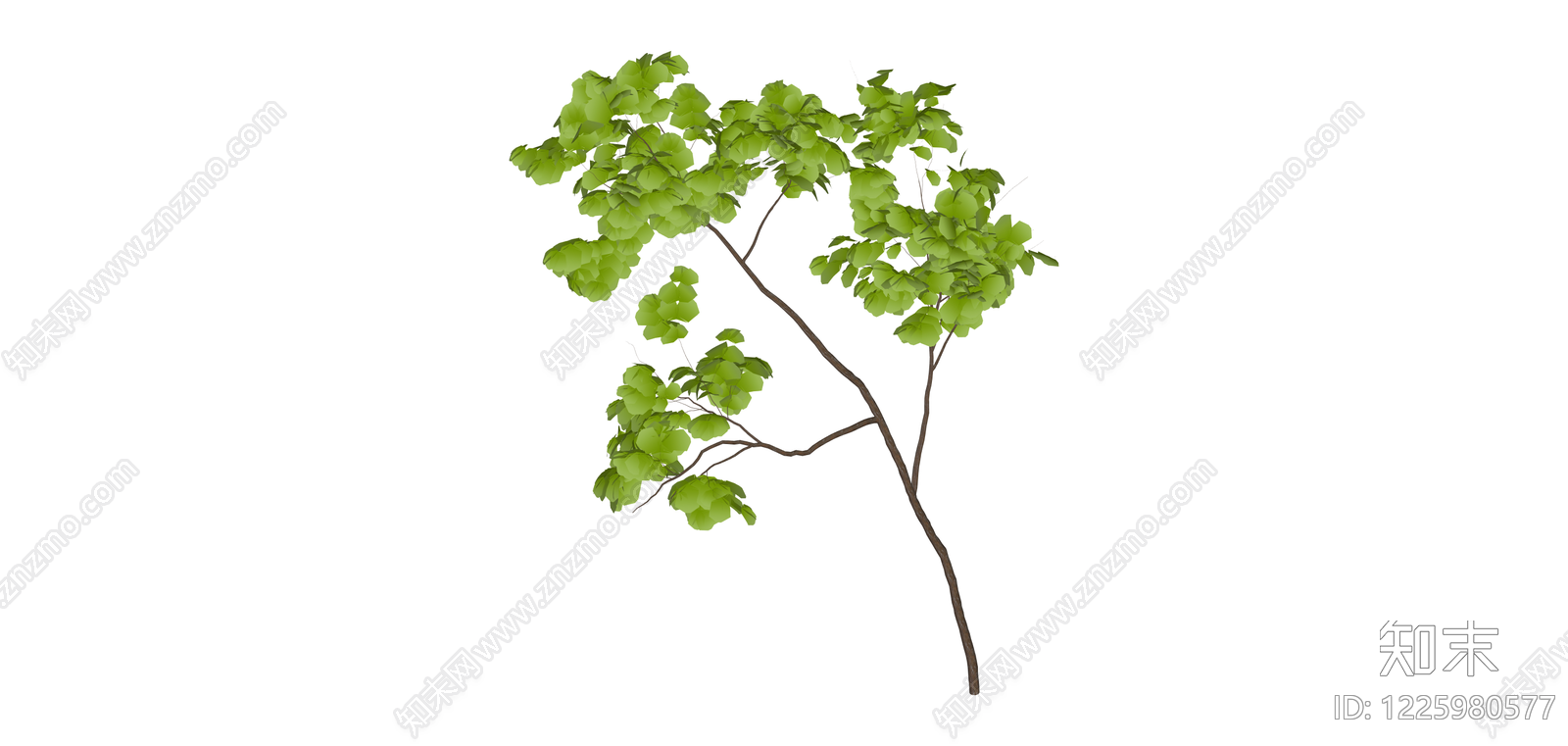 独立景观树木模型SU模型下载【ID:1225980577】