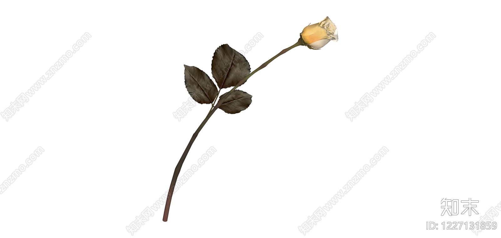 枯萎单枝玫瑰花SU模型下载【ID:1227131859】