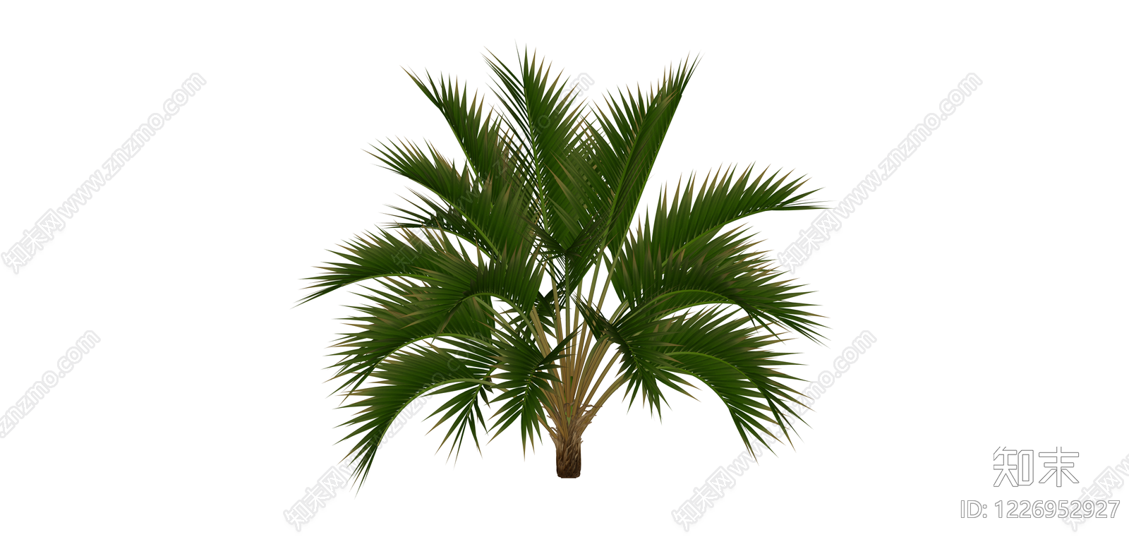 丛生棕榈绿植模型SU模型下载【ID:1226952927】