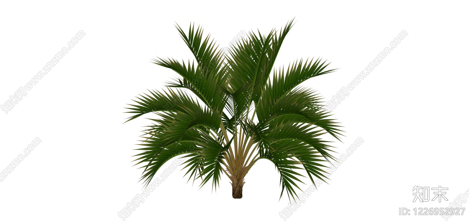 丛生棕榈绿植模型SU模型下载【ID:1226952927】