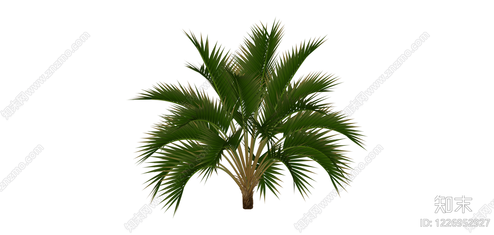 丛生棕榈绿植模型SU模型下载【ID:1226952927】