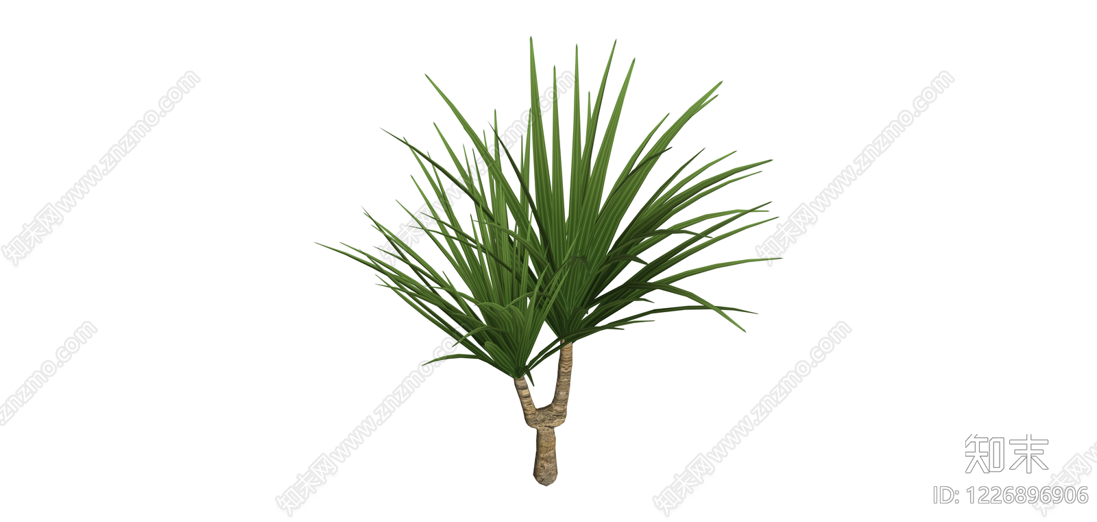 双头龙血树盆栽SU模型下载【ID:1226896906】