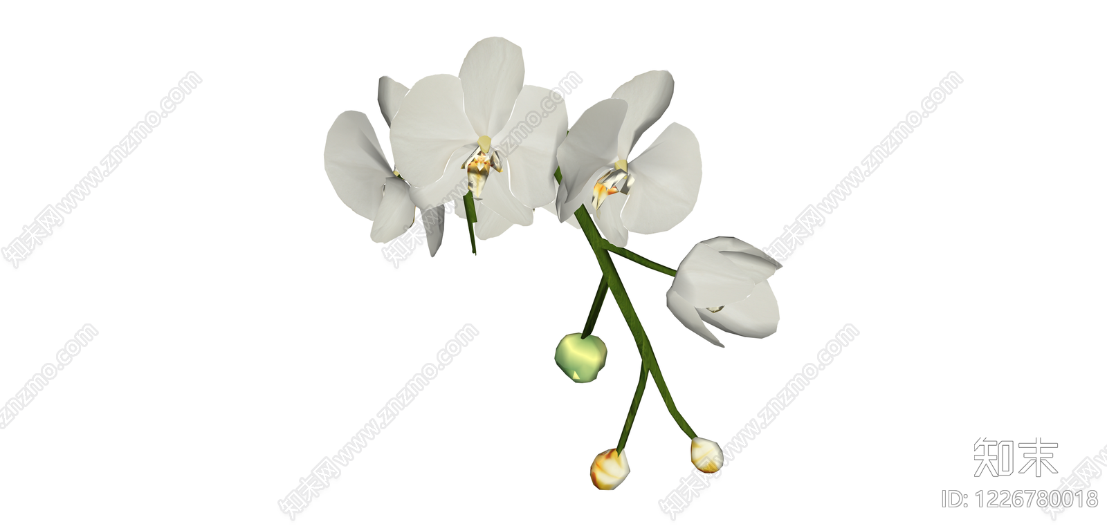 白色蝴蝶兰仿真花艺SU模型下载【ID:1226780018】