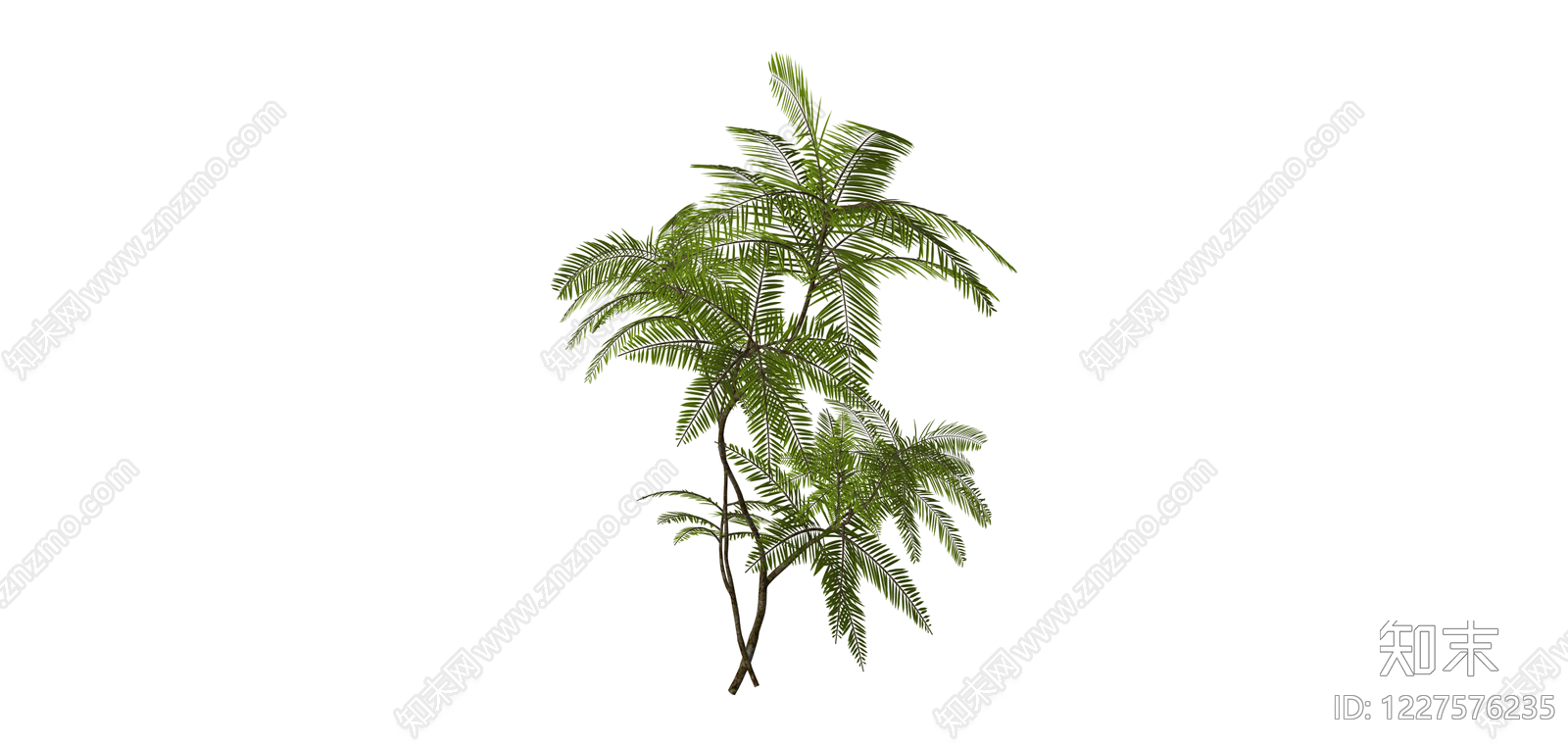 仿真蕨类绿植模型SU模型下载【ID:1227576235】