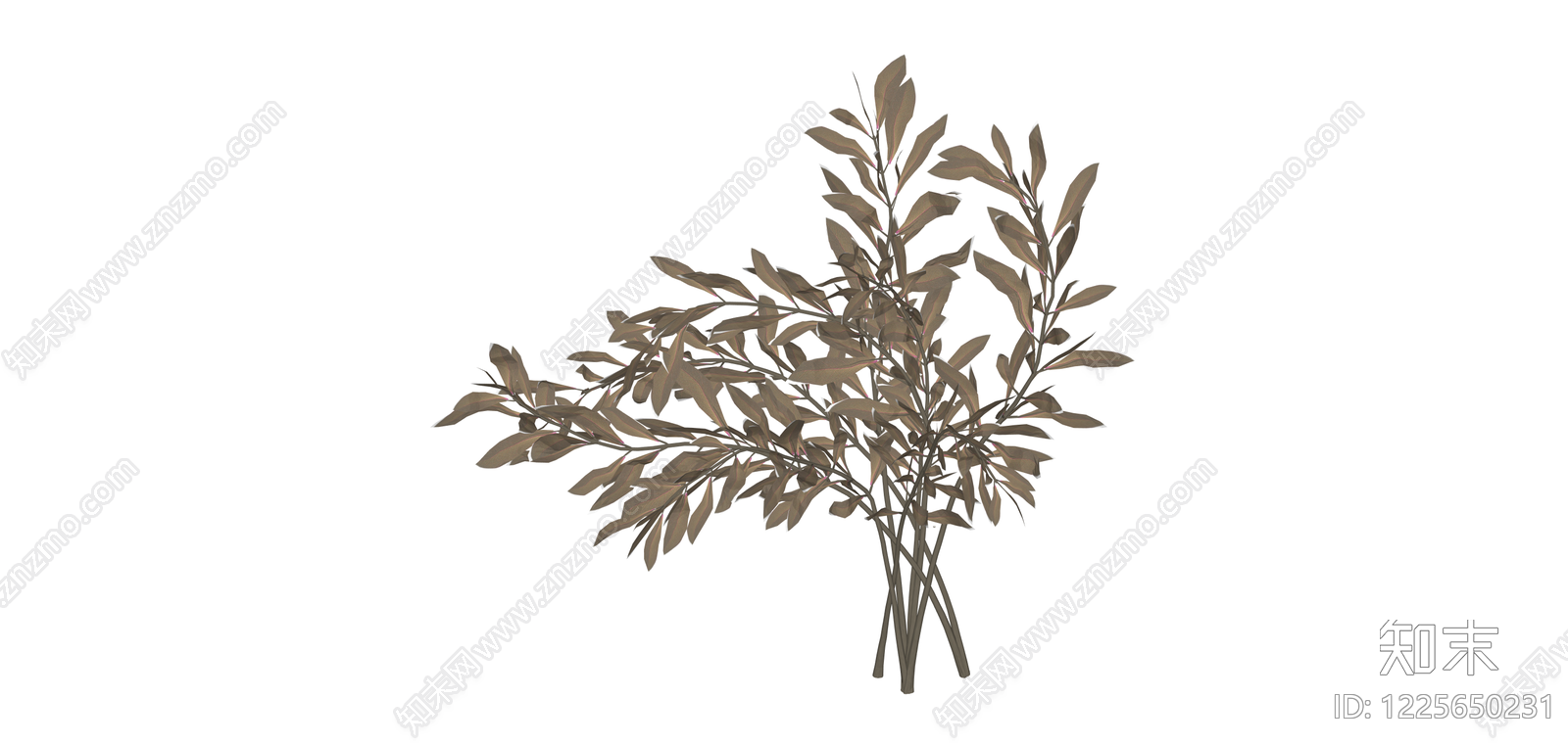 仿真干枯植物枝叶SU模型下载【ID:1225650231】