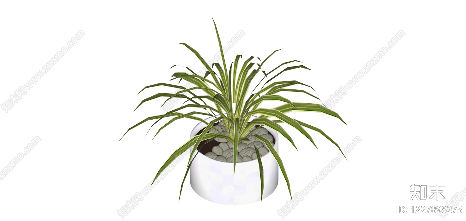 白盆条纹绿植盆栽SU模型下载【ID:1227898275】