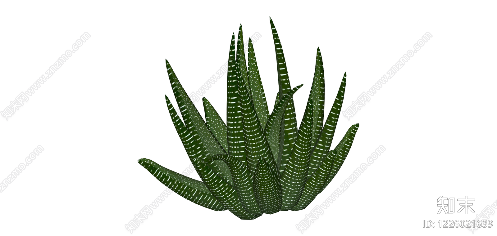 条纹斑马芦荟盆栽SU模型下载【ID:1226021639】