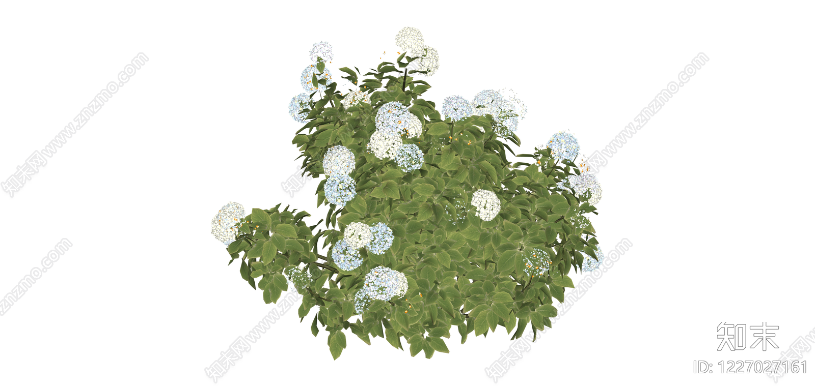 蓝白绣球灌木丛SU模型下载【ID:1227027161】