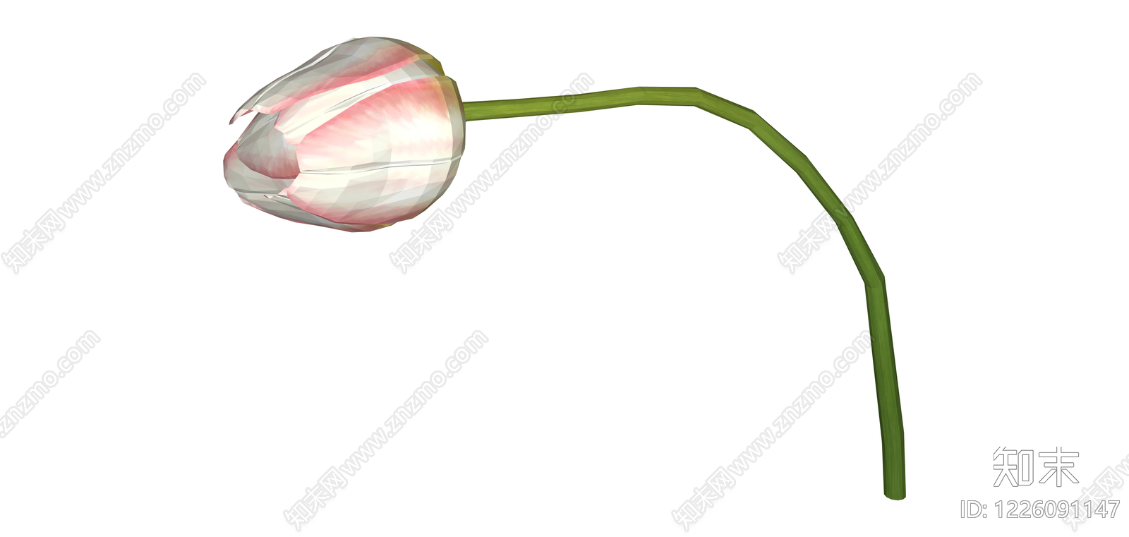 粉色条纹郁金香花苞SU模型下载【ID:1226091147】