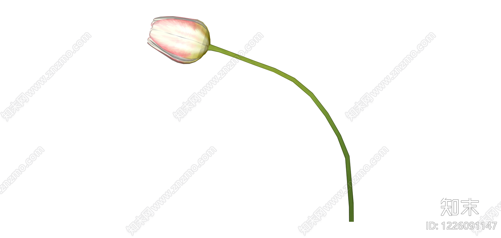 粉色条纹郁金香花苞SU模型下载【ID:1226091147】