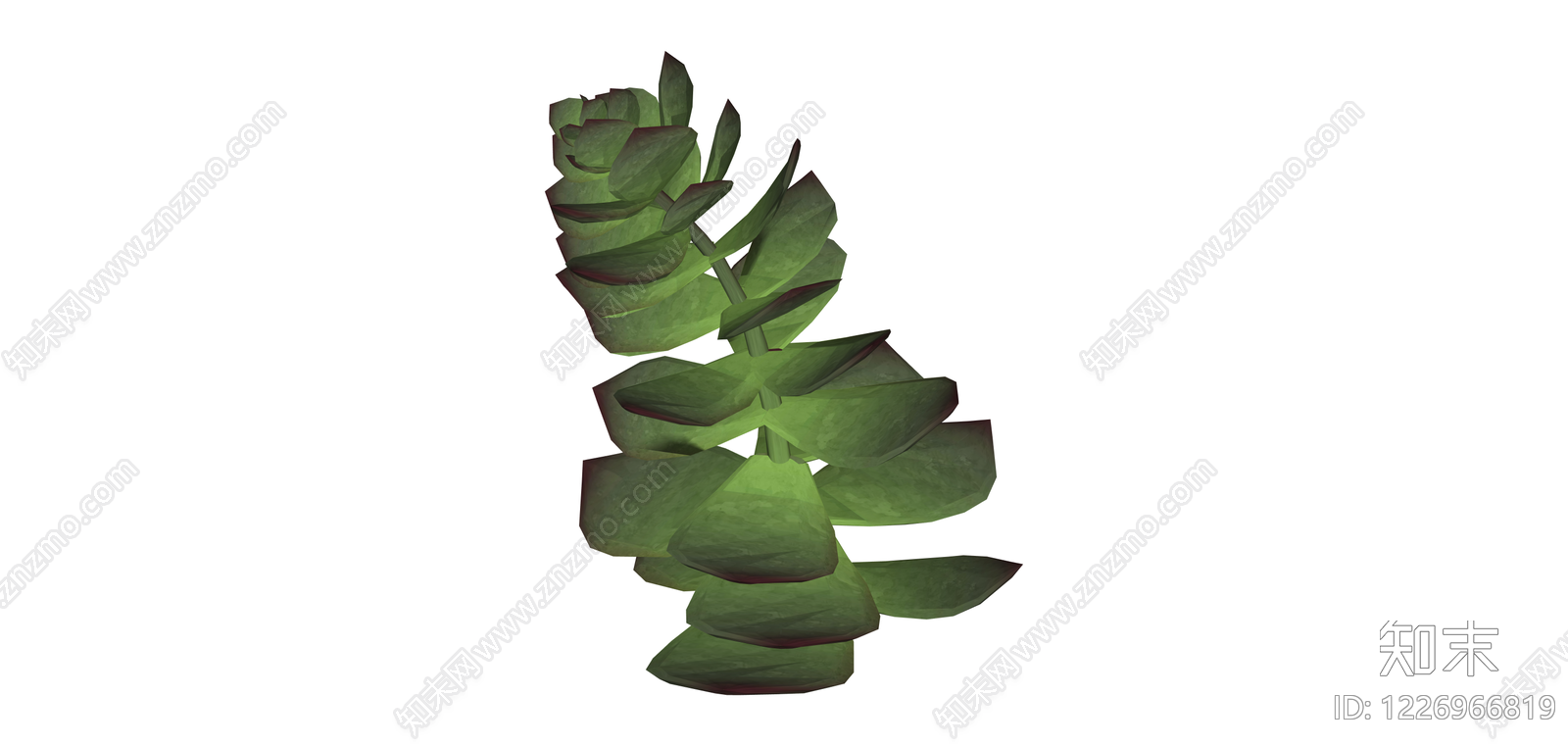 绿色多肉植物茎叶组件SU模型下载【ID:1226966819】