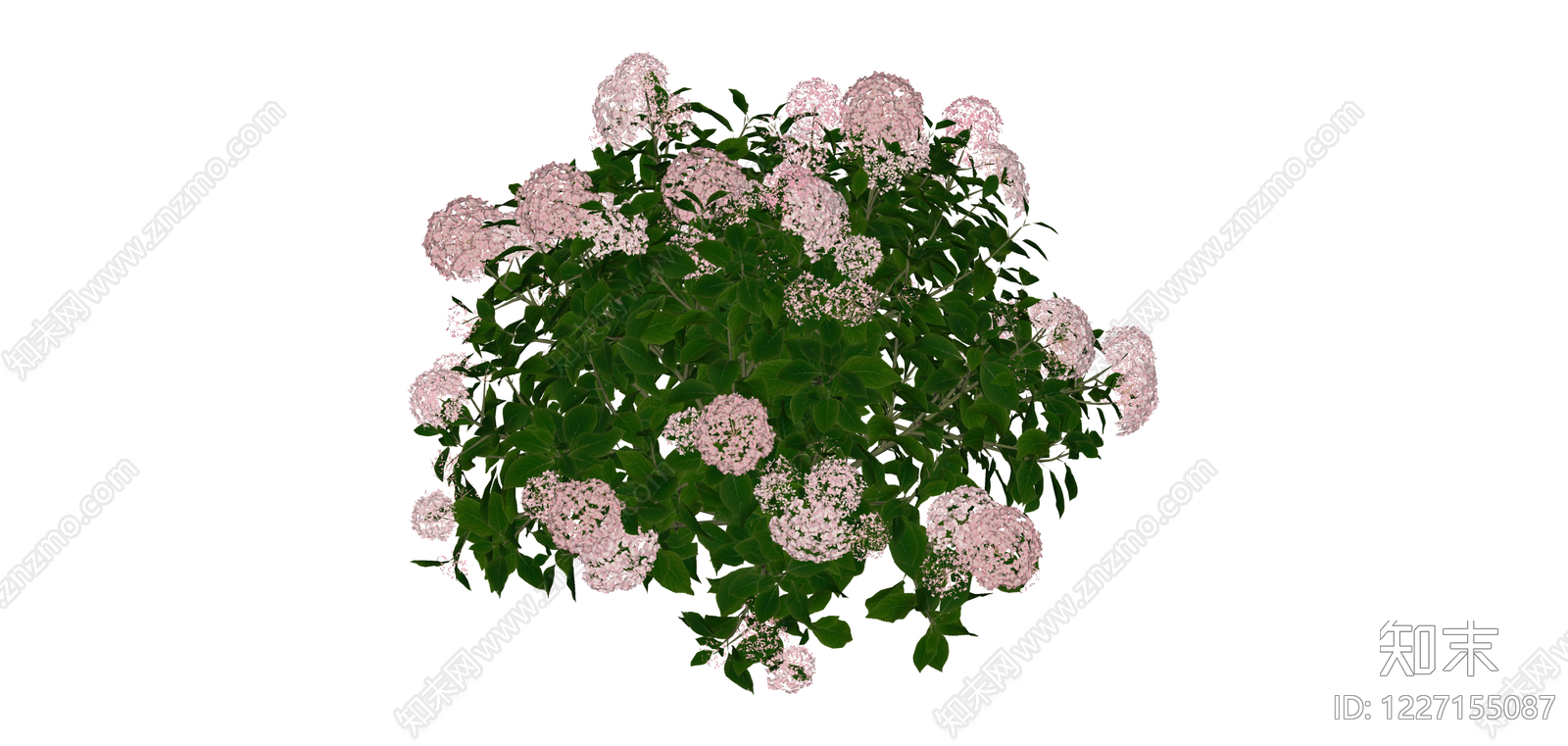 粉色绣球花灌木SU模型下载【ID:1227155087】