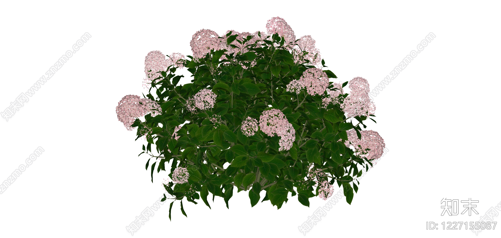 粉色绣球花灌木SU模型下载【ID:1227155087】