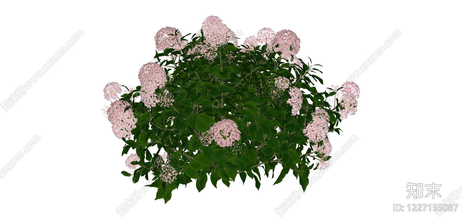 粉色绣球花灌木SU模型下载【ID:1227155087】