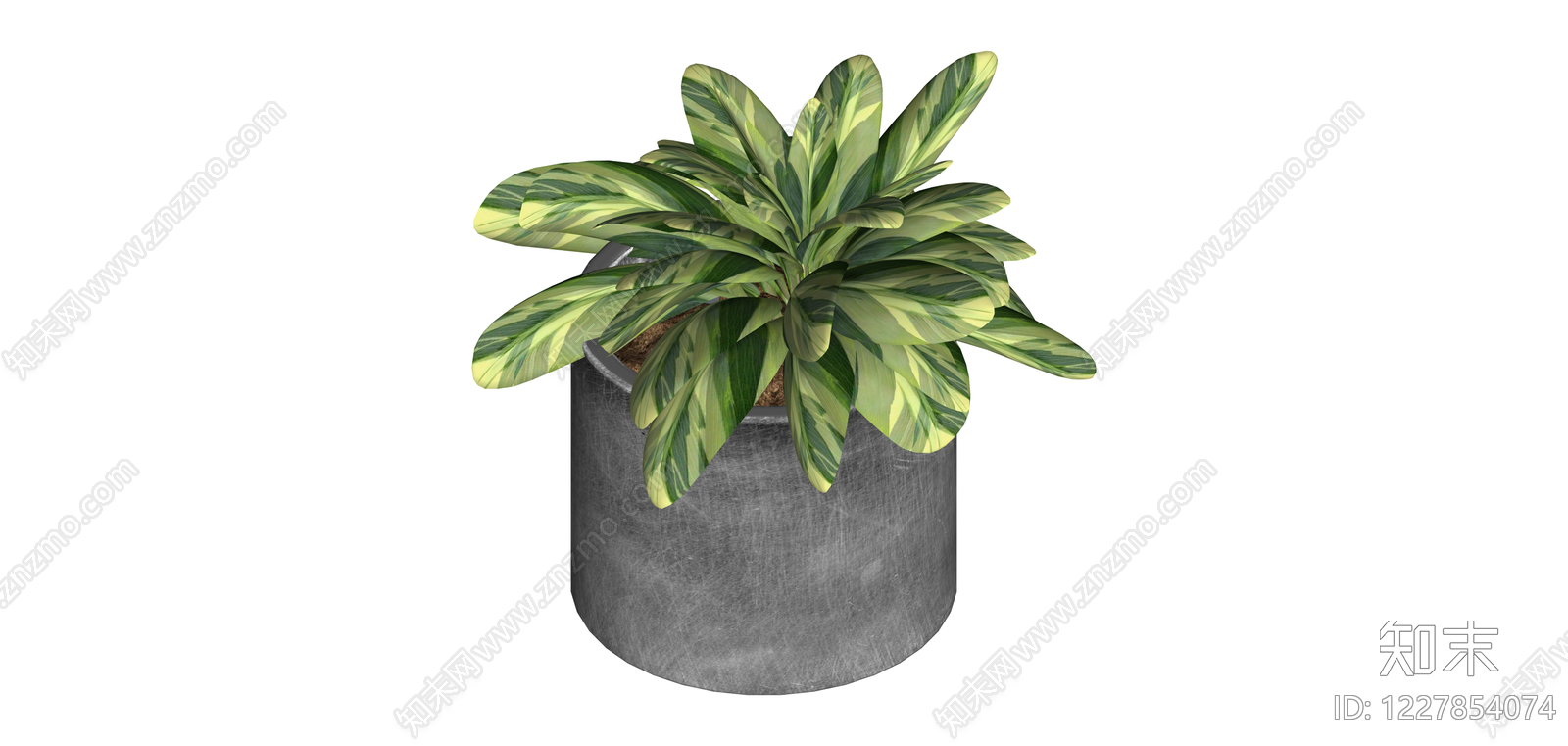 灰盆绿植盆栽组合SU模型下载【ID:1227854074】