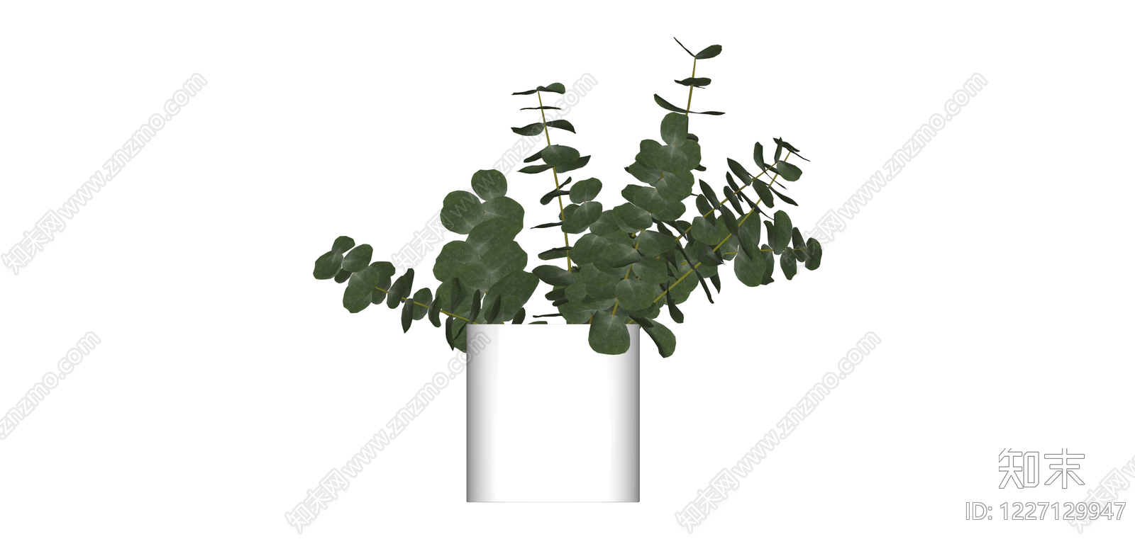 白模尤加利盆栽SU模型下载【ID:1227129947】