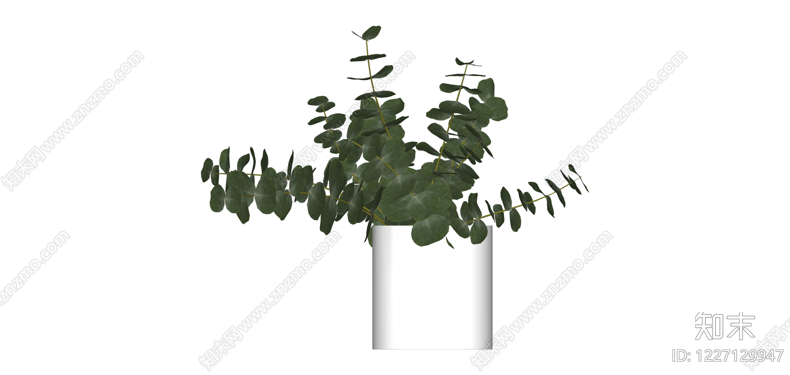 白模尤加利盆栽SU模型下载【ID:1227129947】