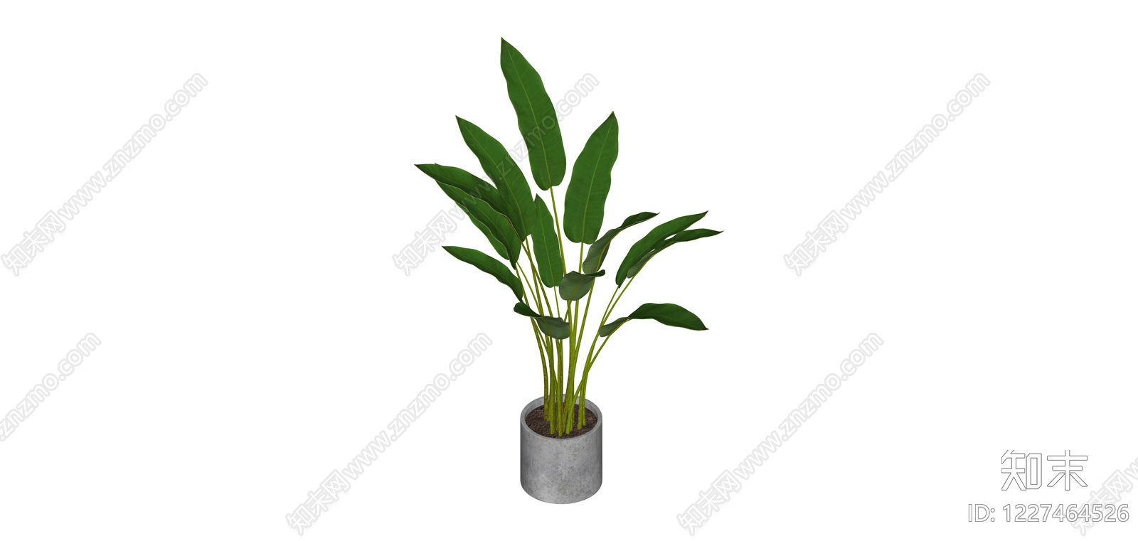 带盆绿植盆栽SU模型下载【ID:1227464526】