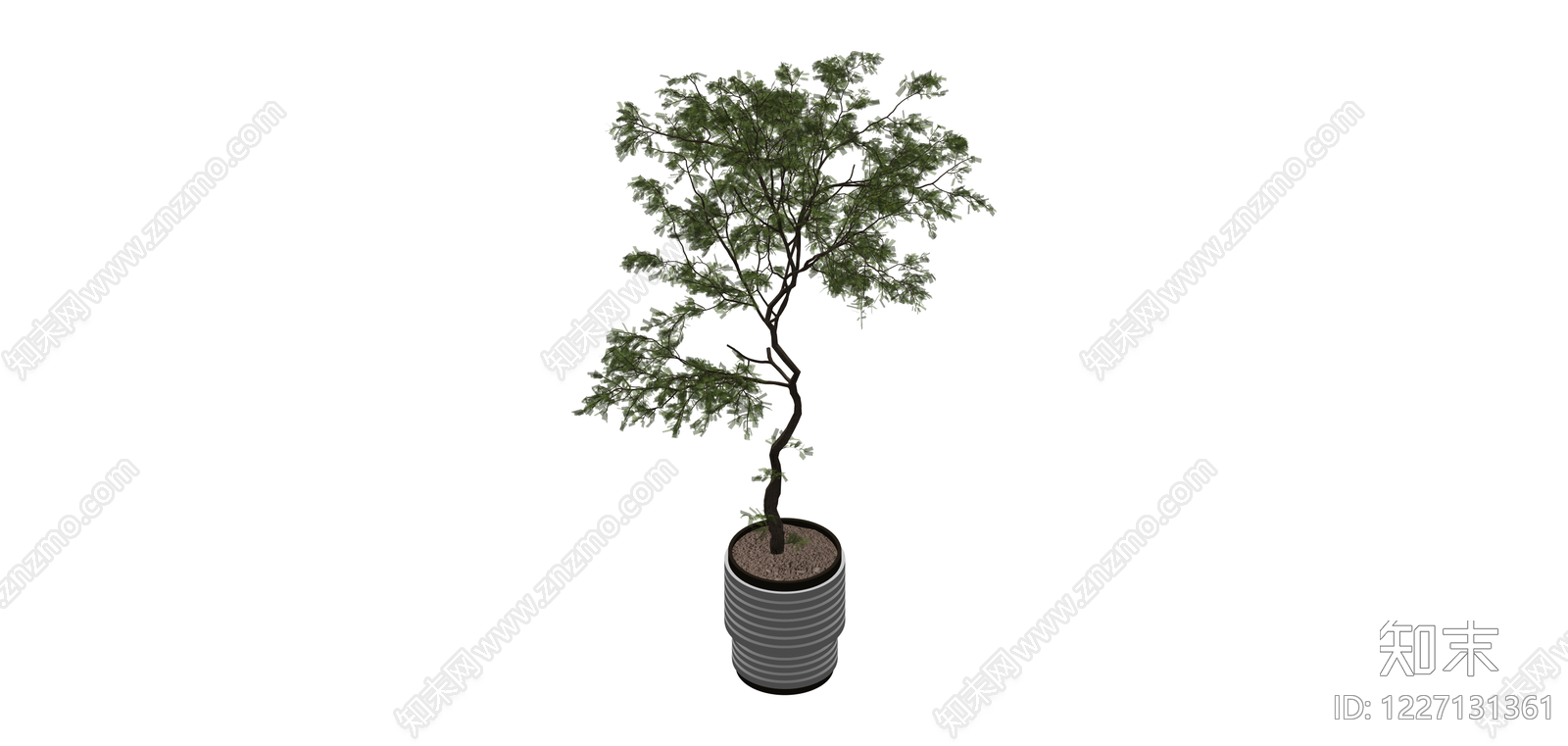 盆栽绿植模型SU模型下载【ID:1227131361】