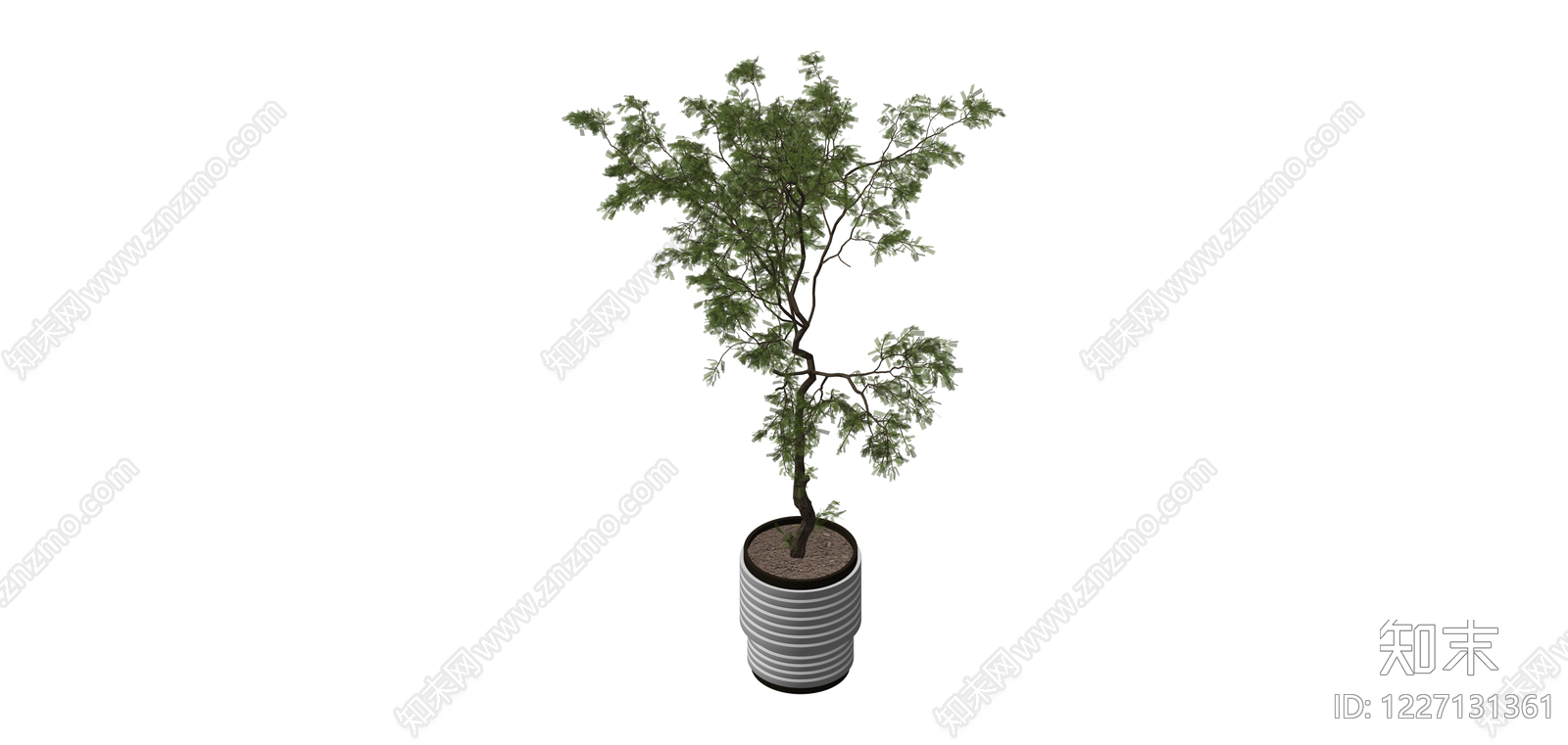 盆栽绿植模型SU模型下载【ID:1227131361】