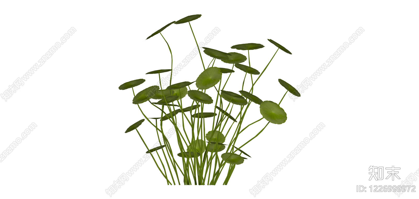 铜钱草绿植组合SU模型下载【ID:1226999972】