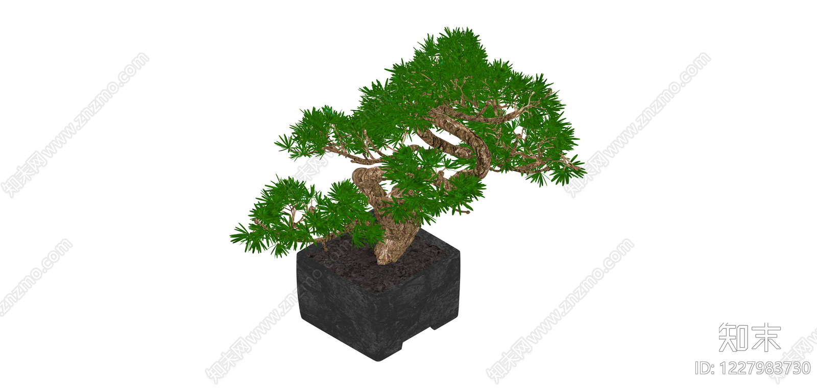 黑盆造型松树盆栽SU模型下载【ID:1227983730】