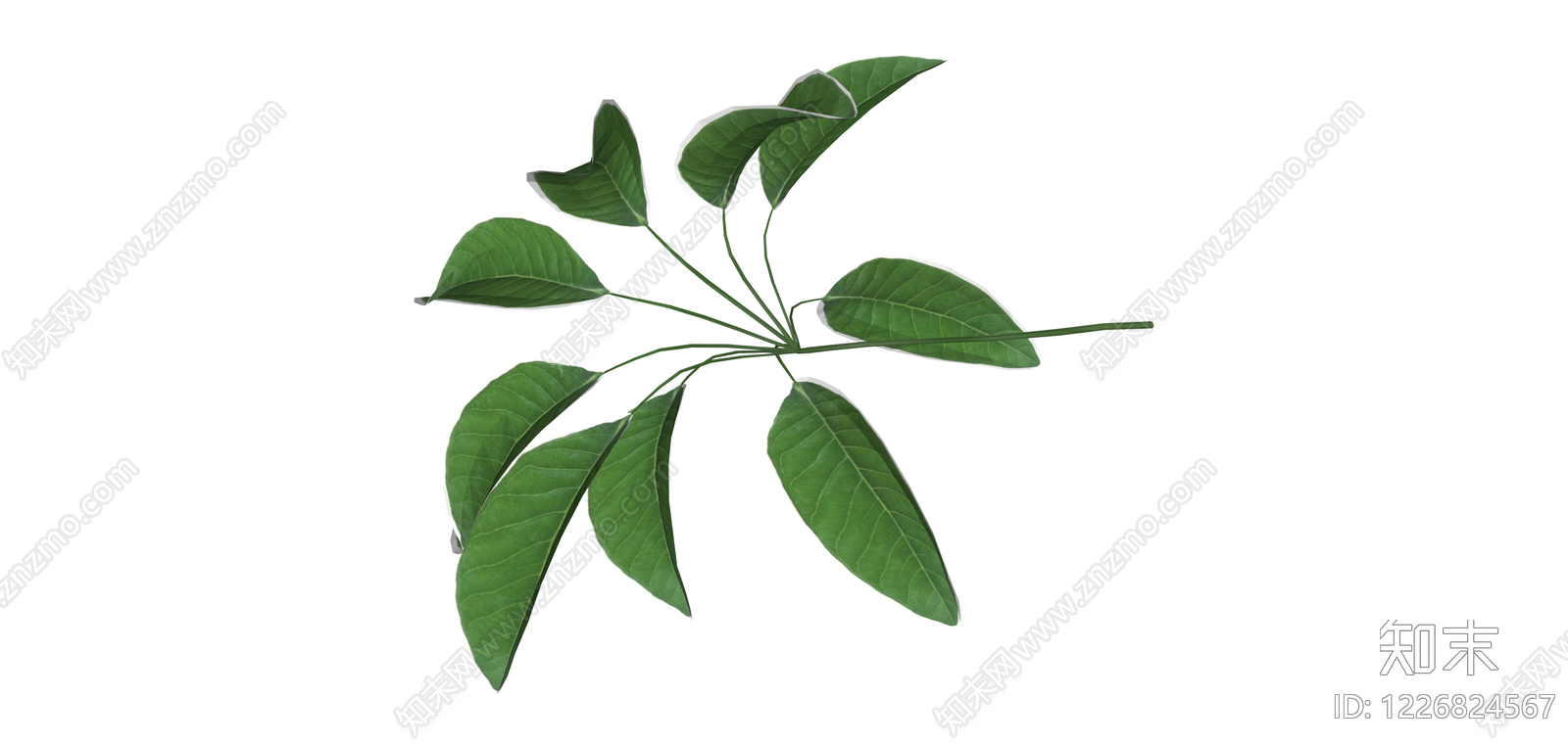 绿色植物枝叶组件SU模型下载【ID:1226824567】