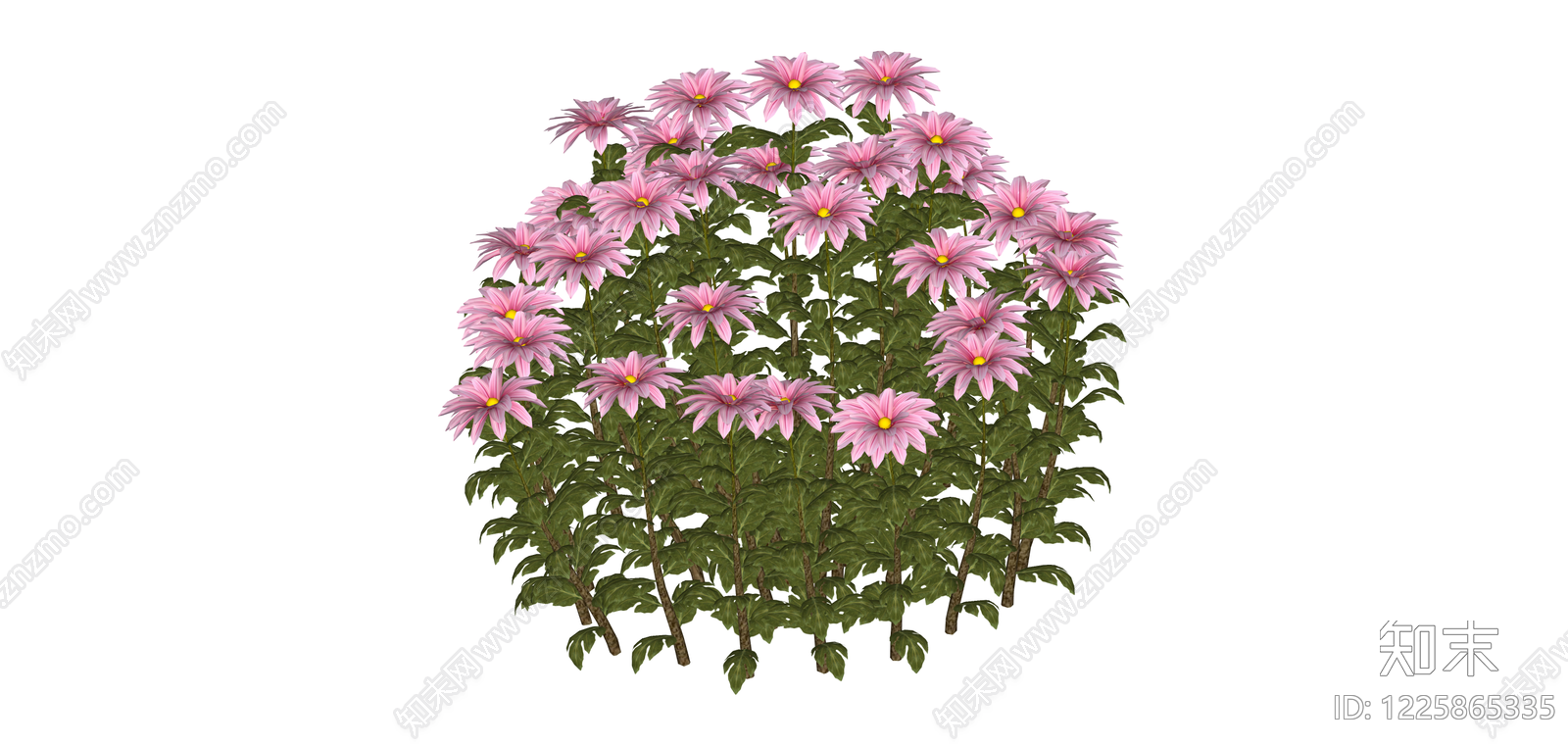 粉色花丛灌木SU模型下载【ID:1225865335】